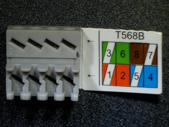 cliquer pour zoomer 942545-S0 Peigne