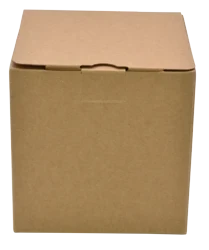 cliquer pour zoomer conditionnment VZDP03-B0